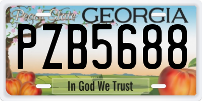 GA license plate PZB5688