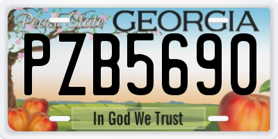 GA license plate PZB5690