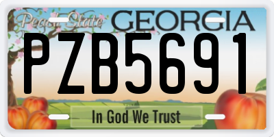 GA license plate PZB5691