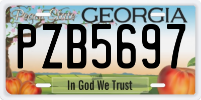 GA license plate PZB5697