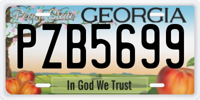 GA license plate PZB5699