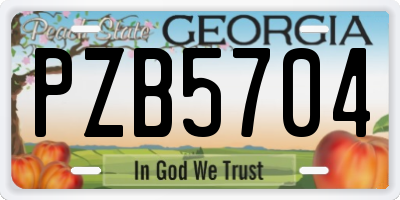 GA license plate PZB5704
