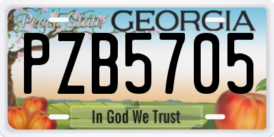 GA license plate PZB5705