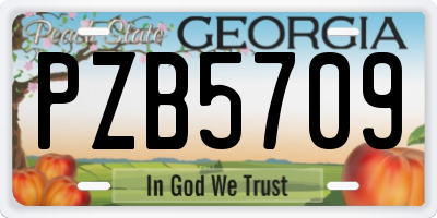 GA license plate PZB5709