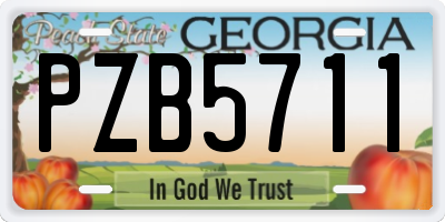GA license plate PZB5711