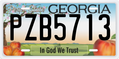 GA license plate PZB5713