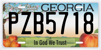 GA license plate PZB5718