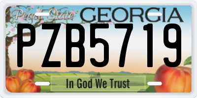 GA license plate PZB5719