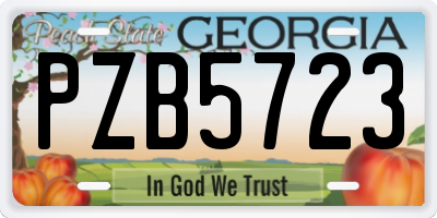GA license plate PZB5723