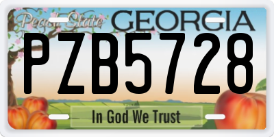 GA license plate PZB5728