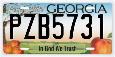 GA license plate PZB5731