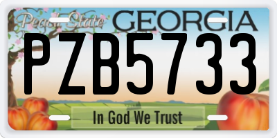 GA license plate PZB5733