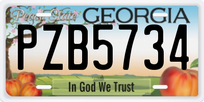 GA license plate PZB5734