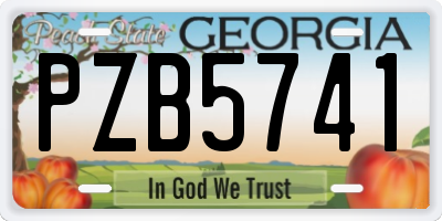 GA license plate PZB5741