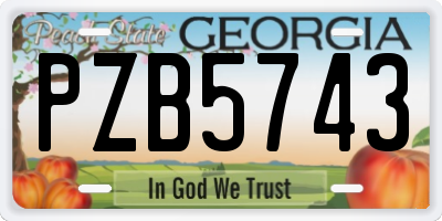 GA license plate PZB5743