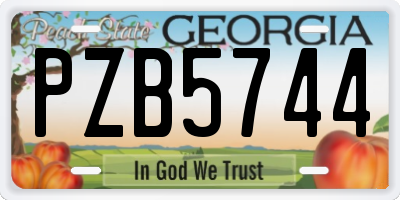 GA license plate PZB5744