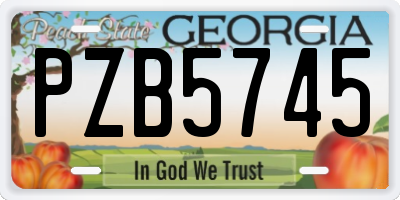GA license plate PZB5745
