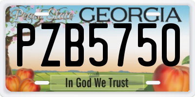 GA license plate PZB5750