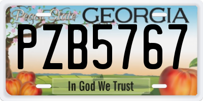 GA license plate PZB5767