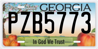 GA license plate PZB5773