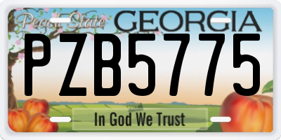 GA license plate PZB5775