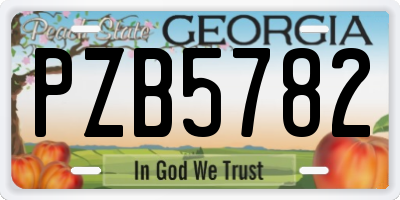 GA license plate PZB5782