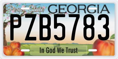 GA license plate PZB5783