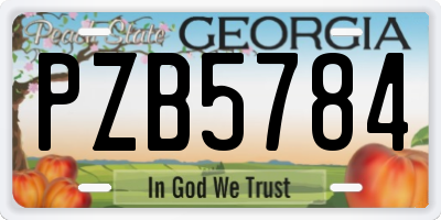 GA license plate PZB5784