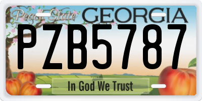 GA license plate PZB5787