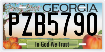 GA license plate PZB5790