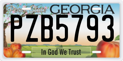 GA license plate PZB5793