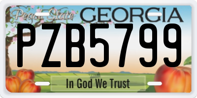 GA license plate PZB5799