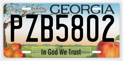 GA license plate PZB5802