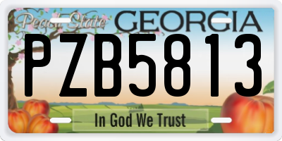 GA license plate PZB5813