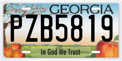 GA license plate PZB5819