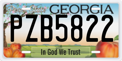 GA license plate PZB5822