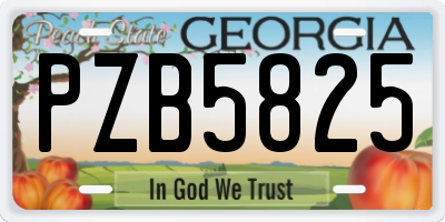 GA license plate PZB5825