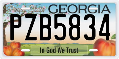 GA license plate PZB5834