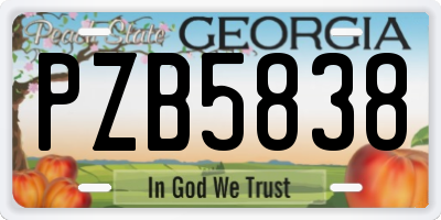 GA license plate PZB5838