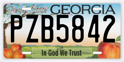 GA license plate PZB5842