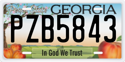 GA license plate PZB5843