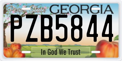 GA license plate PZB5844