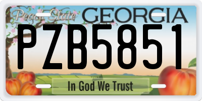 GA license plate PZB5851