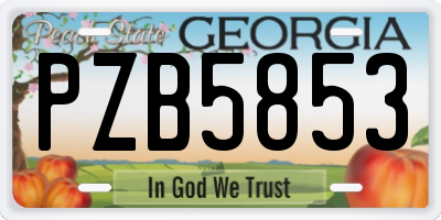 GA license plate PZB5853