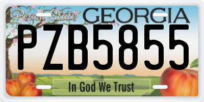 GA license plate PZB5855
