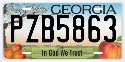 GA license plate PZB5863