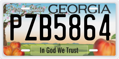 GA license plate PZB5864