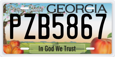 GA license plate PZB5867