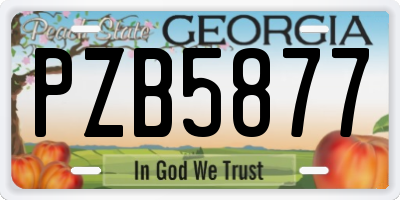 GA license plate PZB5877