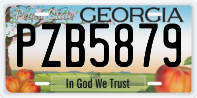 GA license plate PZB5879